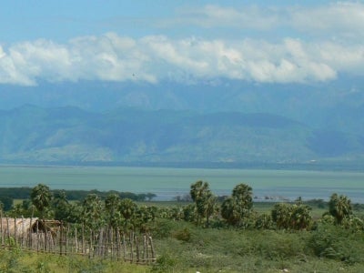Green landscape with mountains in background