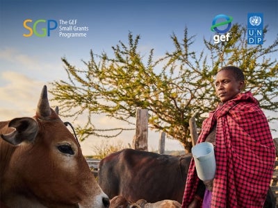 Cover image for publication "GEF SMALL GRANTS PROGRAMME ANNUAL MONITORING REPORT 2023 - 2024 (SUMMARY INFOGRAPHIC)"