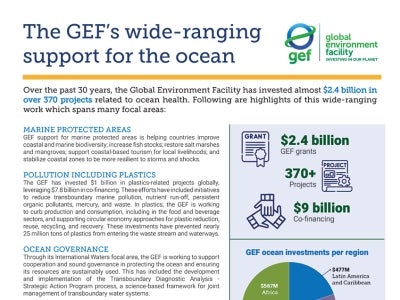 Cover image for "The GEF's wide-ranging support for the ocean"