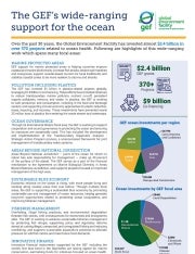 Cover image for "The GEF's wide-ranging support for the ocean"