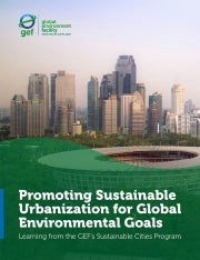 Cover image for publication "Promoting Sustainable Urbanizations for Global Environmental Goals"