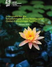 Cover image for 2025 GEF Instrument publication