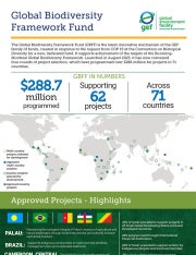 Cover image for publication "GBFF in Numbers"