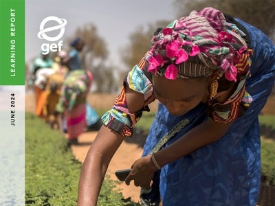 Cover image for publication "Land Degradation Neutrality Knowledge Management and Learning Initiative"