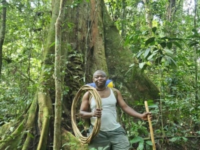 Man standing in a dense forest