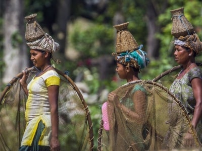 Ethnic Tharu women on their way to go fishing in Bardia, Nepal. Photo: PACO COMO/Shutterstock.