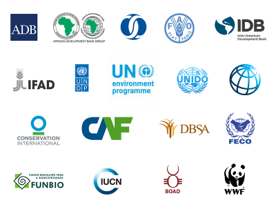 Compilation image of GEF agencies