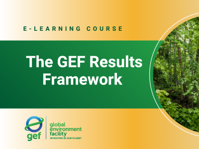 Results Framework e-course banner